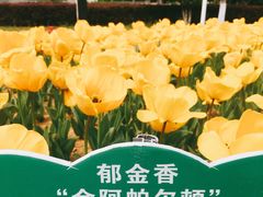 -江南大学(蠡湖校区)