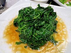 -新南华大酒店(广中店)