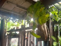 -自然餐厅(Phuket)