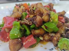 -煲来饱去冷水鱼