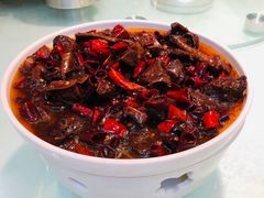 -三强鸽子(中原路店)
