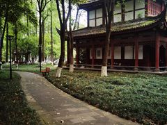 -温江公园