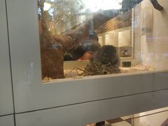 -龙猫仔乐园(惠福东路店)