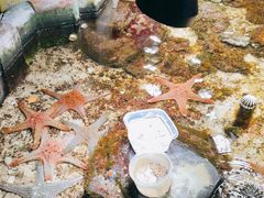 -嘉兴海底世界