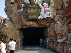 -鹦鹉过山车