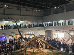 -自贡恐龙博物馆