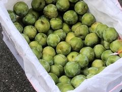 -西郊国际农产品交易中心