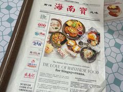 -海南宝(星耀樟宜店)