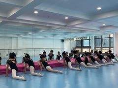 -西安小天鹅艺术团(曲江Alice店)