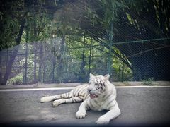 -乐和乐都主题乐园