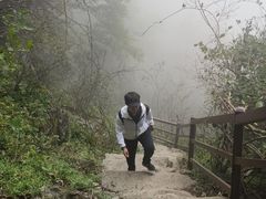 -王顺山国家森林公园