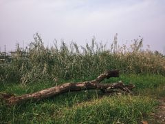 -武昌江滩
