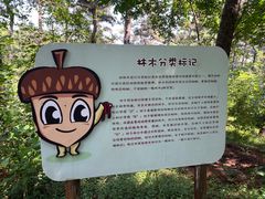 -北京西山国家森林公园