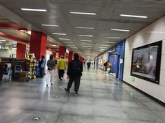 -望京西(地铁站)