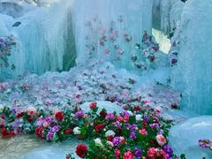 -洛阳白云山景区