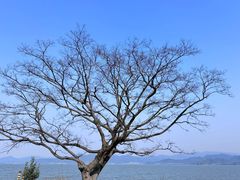 -东钱湖旅游度假区