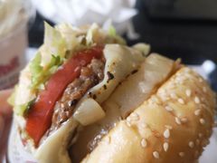 -The Habit Burger Grill 哈比特汉堡(爱琴海店)