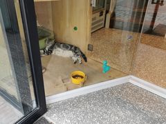 -有才叔的小馆(招商依云曲江店)