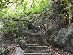 -九曜山