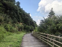 -梁野山景区