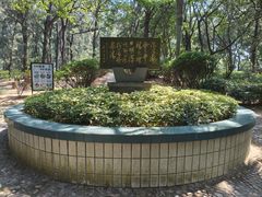 -宋井风景区
