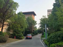 -上海崇明金茂凯悦酒店