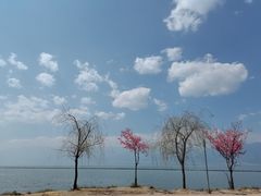 -大理洱海