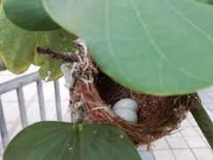 -广东食品药品职业学院(龙洞校区)