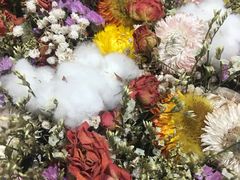 -AEON永旺(东方宝泰店)