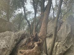 -玉女潭景区