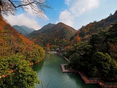 -祁门牯牛降观音堂风景区