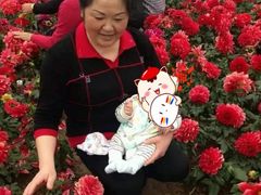 -成都阿姨到家月嫂育儿嫂(华西店)