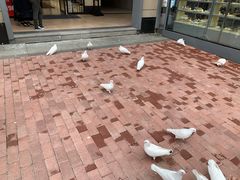 -王府井奥莱临潼小镇(临潼店)