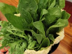 -果松木炭酸菜铜火锅·外婆参鸡汤