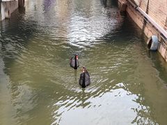 -华谊兄弟（长沙）电影小镇