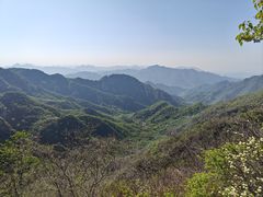 -大岭沟猕猴桃谷风景区