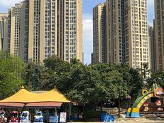 -海合安成都极地海洋公园
