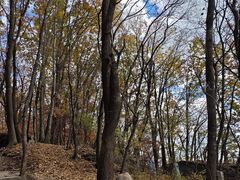 -五女峰国家森林公园