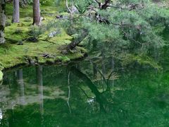 -西芳寺(苔寺)
