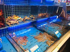 水产区-必点海鲜·鲅鱼水饺(鞍山西道店)