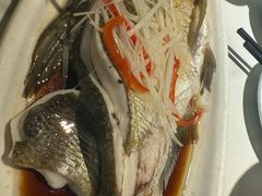 清蒸武昌鱼-刘胖子家常菜·蹄花焖藕(江汉路总店)