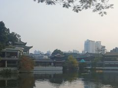 -荔湾湖公园