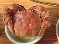 -宾湖农庄·农场特色(太湖龙之梦店)