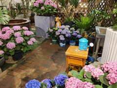 -双季花艺园艺市场(浦东店)