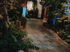 -滕头生态酒店(奉化店)