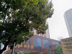 -上海宾馆-停车场