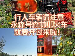-永定河休闲森林公园