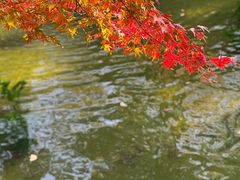 -兴福老面馆(寺路街店)