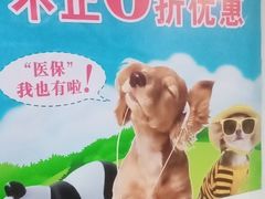 -宠颐生宠物医院外科·内科·皮肤科·影像科(石龙店)