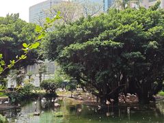 -九龙公园